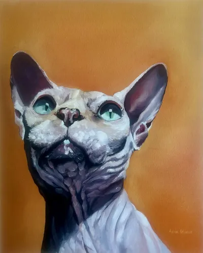 Pet portrait of a hairless cat with green eyes against an orange background